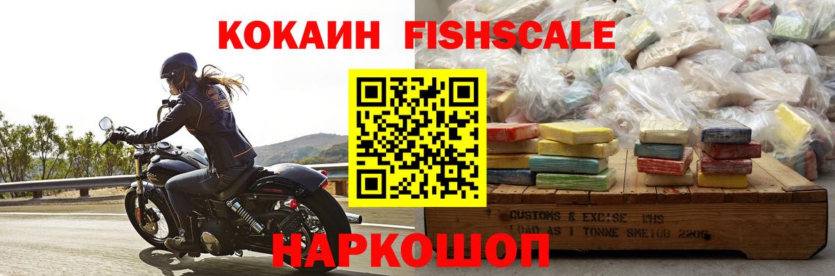 COCAIN Fish Scale Родники
